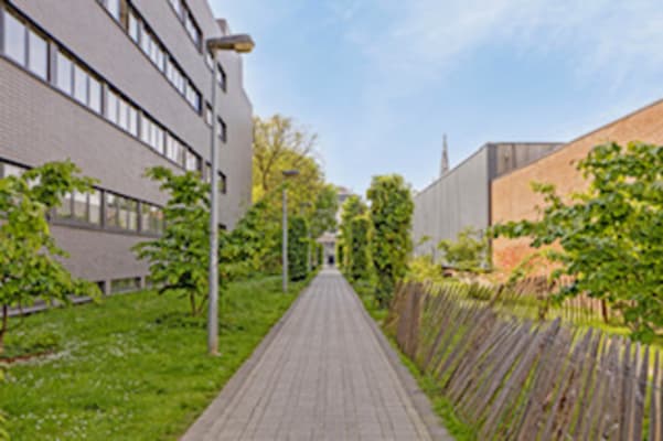 Oda Sint-Maartenstraat 59 resim 4