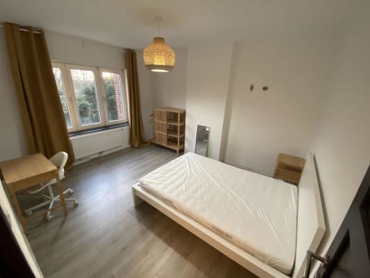 Room Nouvelle colocation image 2