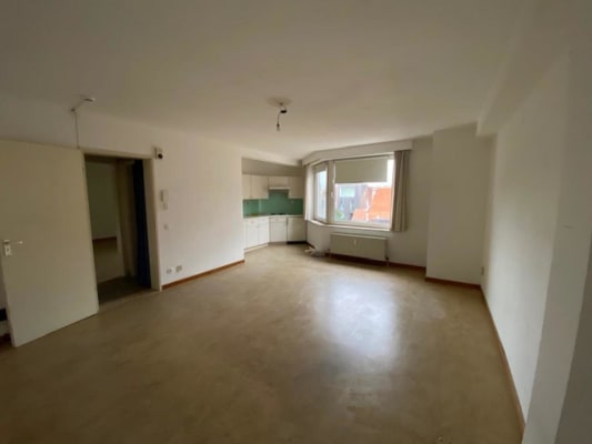 Sala 1 slaapkamer appartement imagem 5