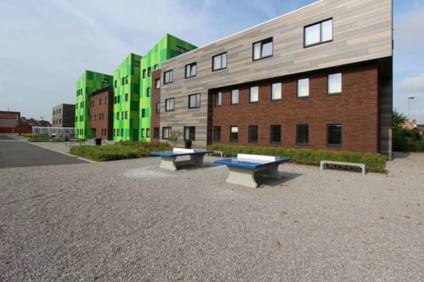 Estudio Kotville - studentenkamers te huur! imagen 5