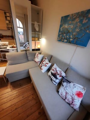 Studio Furnished studio in shared condominium for a calm tenant image 1