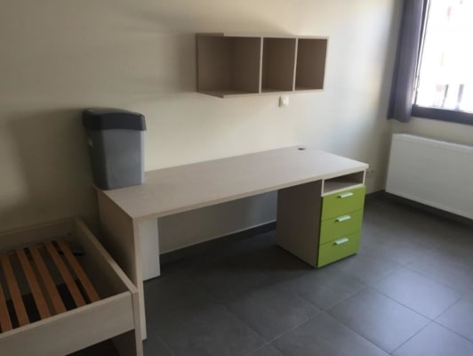 Room Gezellige en lichtrijke studentenkamers met eigen sanitair. image 2