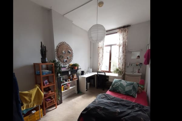 Kamer Andreas Vesaliusstraat 83 foto 1