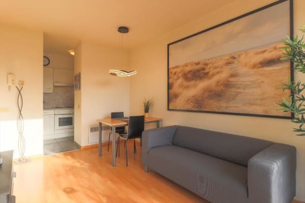 Studio Studio van 50m² image 3