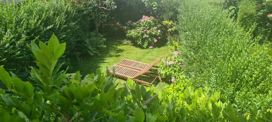 Sala Chambre à louer avec bureau et SDD (terrasse et jardin) imagem 1