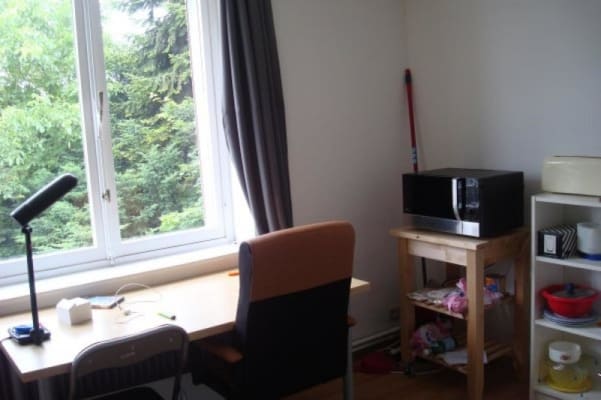 Estúdio Een mooi kot in Bergen van 25m² aan € 425 per maand imagem 1