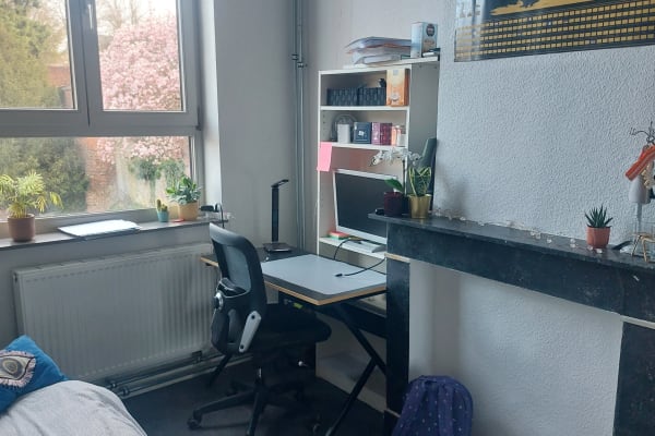 Sala Sint-Beggaberg 24 imagem 1