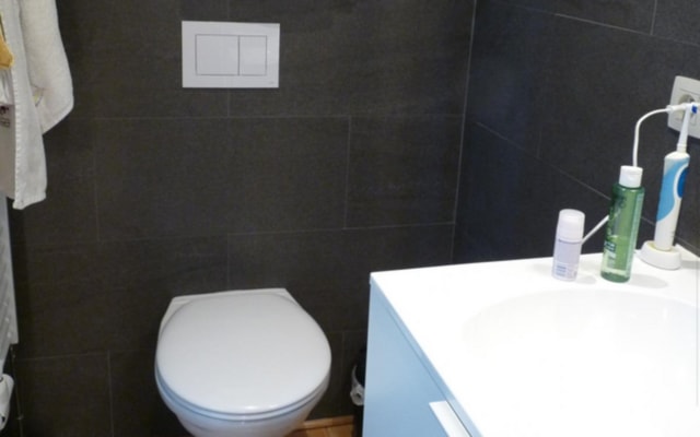 Chambre Room with private shower/bath and private toilet image 4