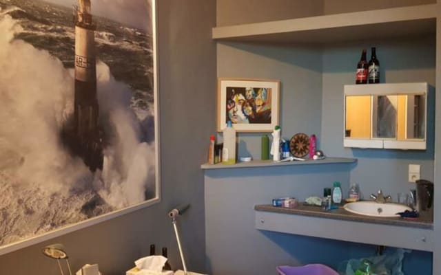 Oda Room with shared bath/shower and shared toilet resim 1