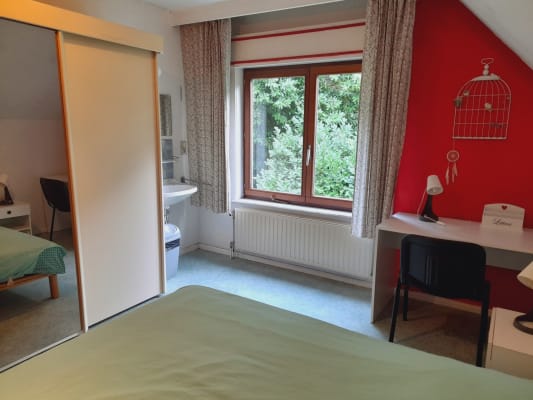Oda Kot chez l'habitant DM resim 2
