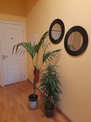 House image 5