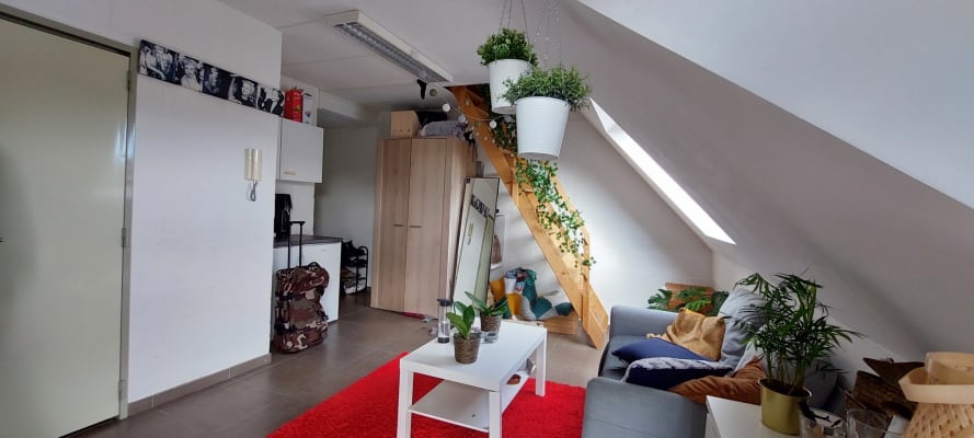 Sala Room van 14m² imagem 2