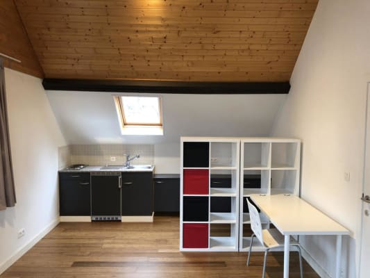 Kamer Studio met keuken en gemeenschappelijke badkamer foto 2