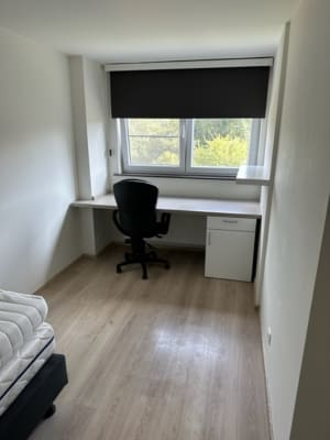 Zimmer Groenstraat 61 Bild 2