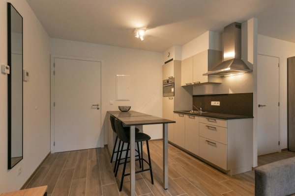 Studio Contemporary Studio Apartment in Central Brussels image 3