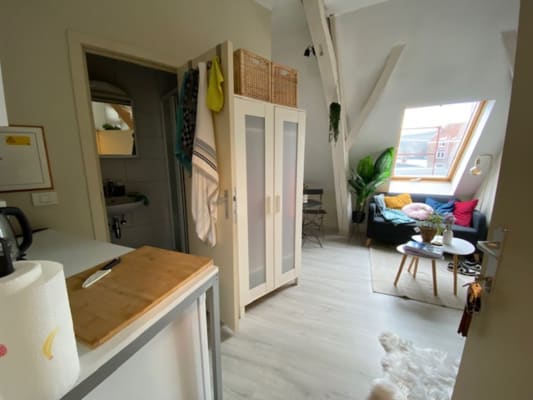 Oda Parkstraat 26 resim 3