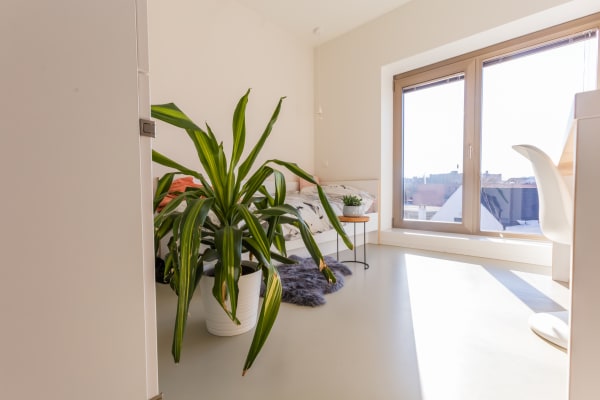 Kamer Mechelsestraat 165 foto 3