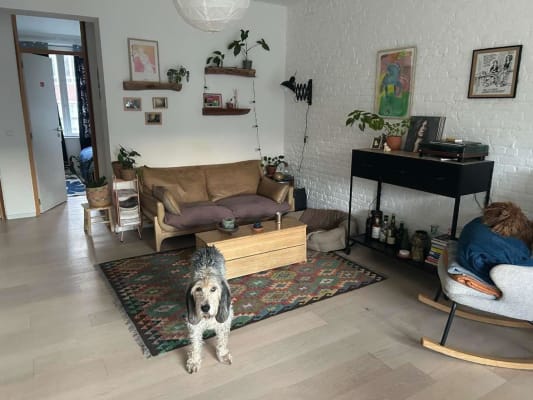 House Colocation - Ixelles image 5