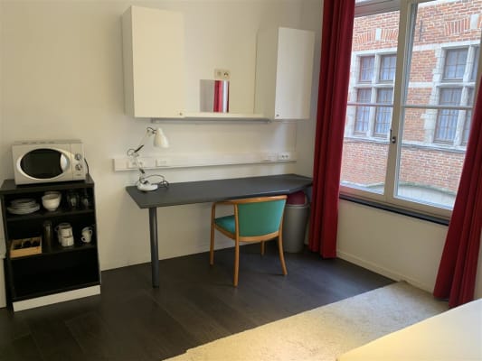Studio Flat central Brussels foto 1