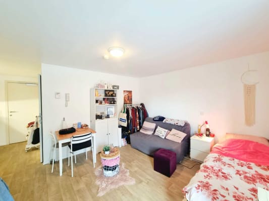 Room Diestsestraat 115 image 4