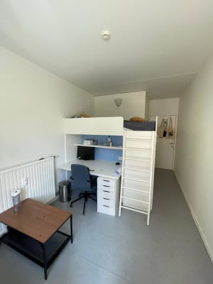 Kamer Kamer 1.45 in "I love Studentlive" Paardenmarkt 2 foto 7