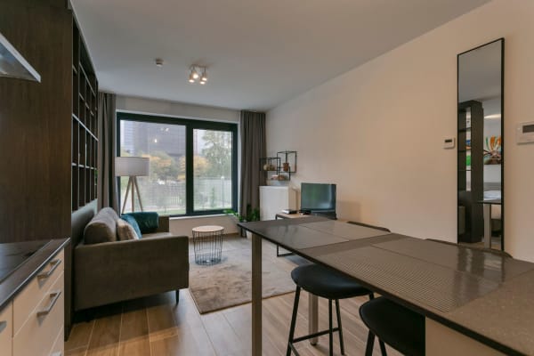 Estudio Contemporary Studio Apartment in Central Brussels imagen 2