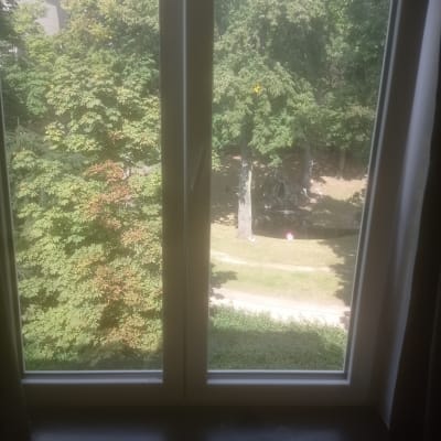 Kamer Nice room with view of the park foto 1