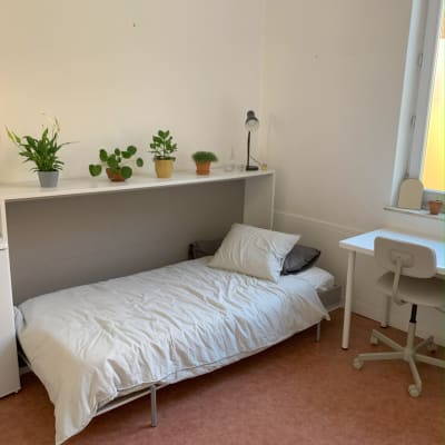 Kamer Studentenkamer buurt Sint Pietersstation 495€ Alles inbegrepen foto 5