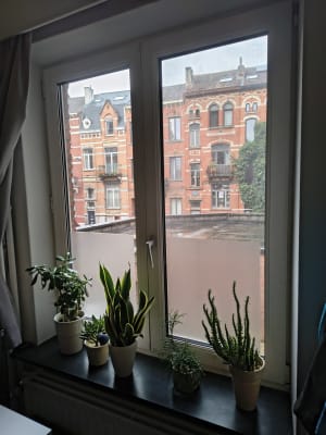 Studio Furnished Studio in the Center of Leuven -- Ideal for Semester Abroad foto 5
