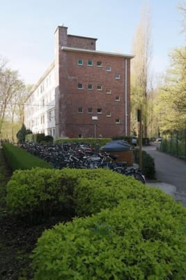 Camera Gezellige studentenkamer in het groen Immagine 10