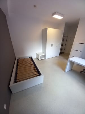 Room Moderne studentenkamer in centrum Anwerpen image 12