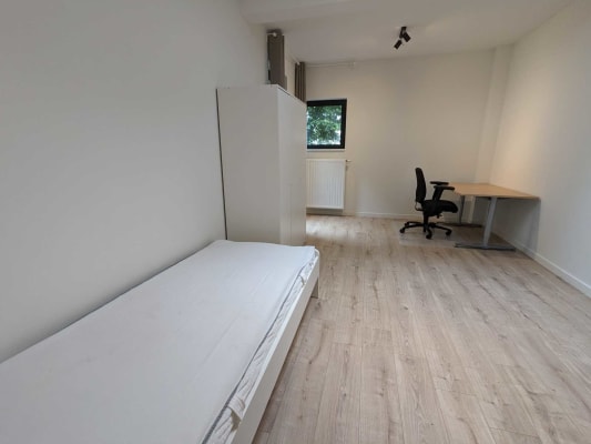 Sala Vernieuwbouwkot met privé douche imagem 13