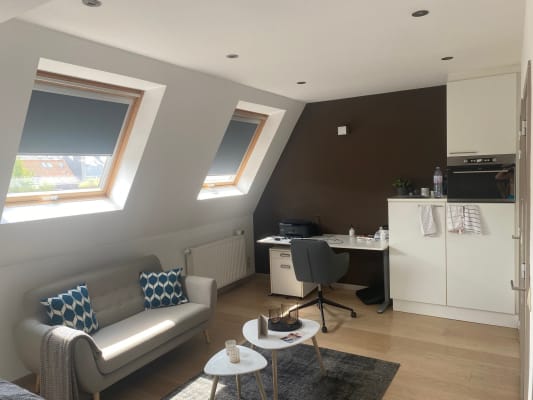 Sala Prachtige kamer met 2 grote, uitklapbare velux-ramen imagem 4