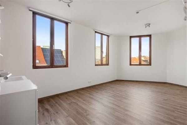 Kamer Kamers met Vlaams kotlabel gekeurd op toplocatie foto 6
