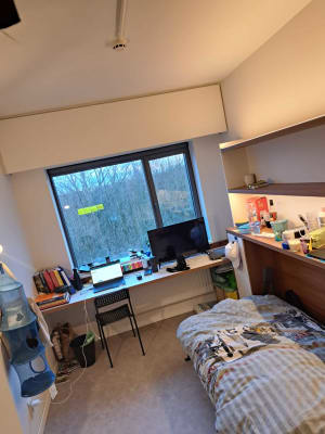 Cuarto Kot in studentengebouw imagen 7