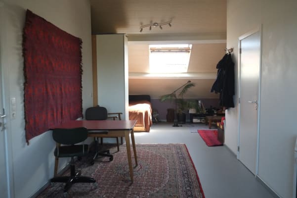 Stüdyo Grote studio met badkamer en keuken resim 5