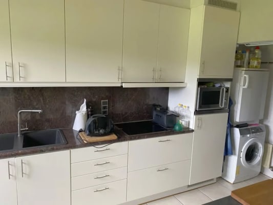 Ev Middelgrote kamer in rustige woning, landelijk gelegen resim 2