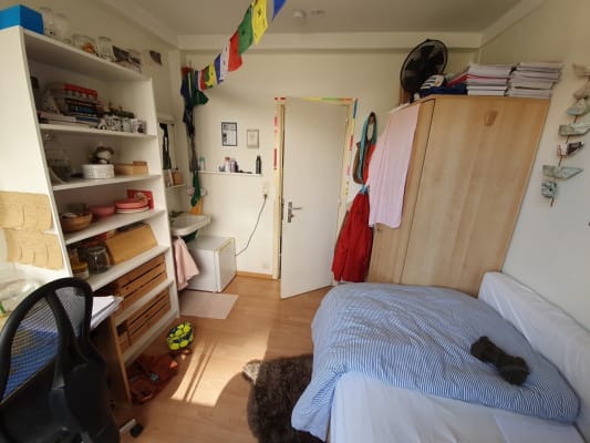 Sala Basiskamer in residentie Thomas Morus imagem 5