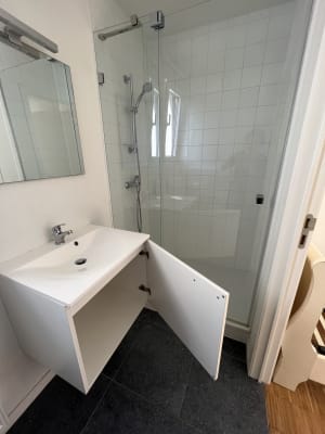 Sala kamer over park, eigen badkamer, onmiddellijk beschikbaar imagem 3