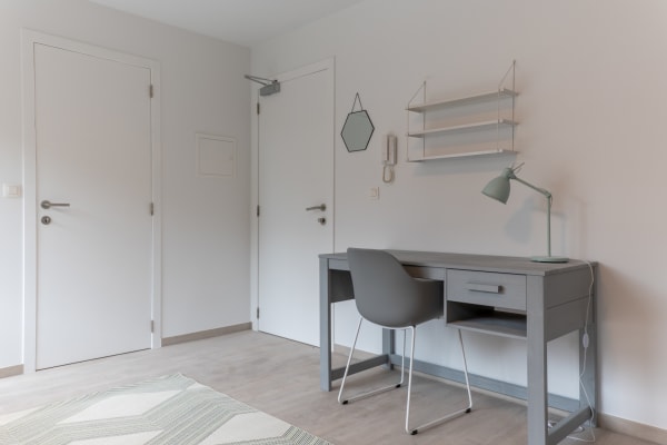 Studio Bemeubelde studio met eigen voorzieningen in Residentie Artemis – topligging in de Dekenstraat foto 9