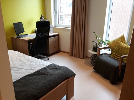 Kamer ruime studentenkamer met privé badkamer (toilet, douche, wastafel) foto 1