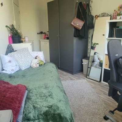 Sala Kot in centrum Antwerpen te huur voor zomermaanden: JUNI/JULI/AUGUSTUS  imagem 10