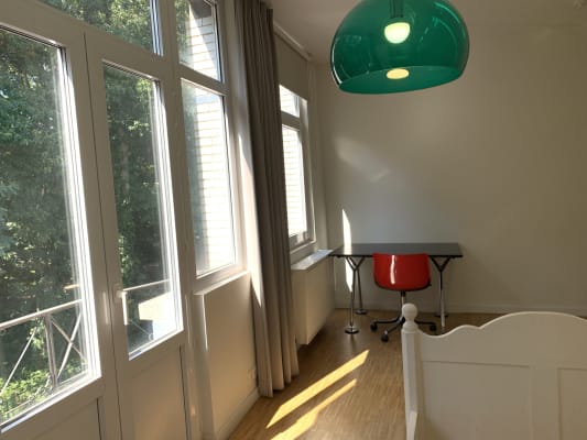 Sala kamer met zicht op park, eigen badkamer imagem 4
