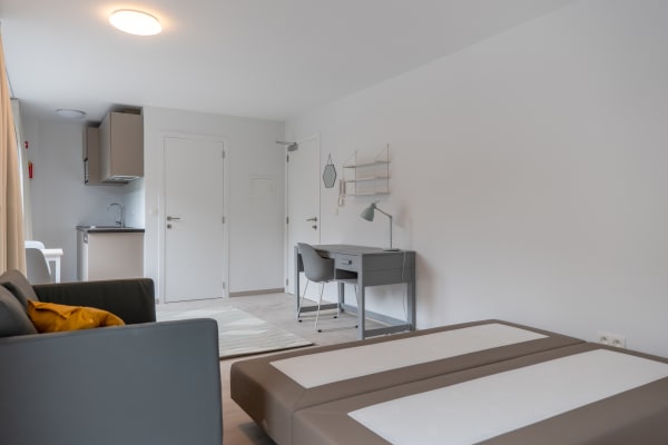 Studio Bemeubelde studio met eigen voorzieningen in Residentie Artemis – topligging in de Dekenstraat foto 8