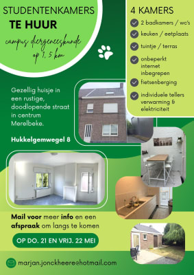 Sala Lichte, ruime kamers in rustige straat dicht bij campus Diergeneeskunde. imagem 3