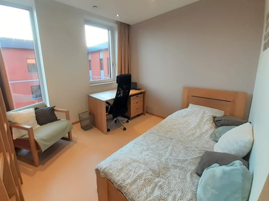 Kamer ruime studentenkamer met privé badkamer (toilet, douche, wastafel) foto 3
