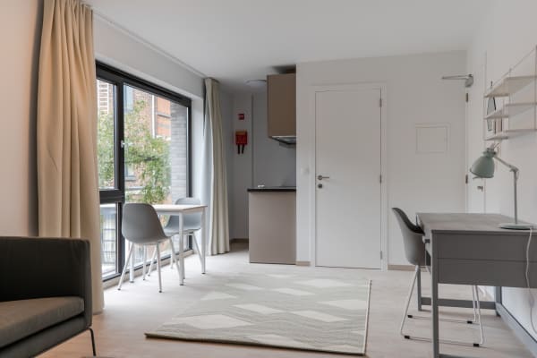 Studio Bemeubelde studio met eigen voorzieningen in Residentie Artemis – topligging in de Dekenstraat foto 5