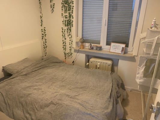 Zimmer studentenkamer (gedeelde living, keuken en badkamer) Bild 9
