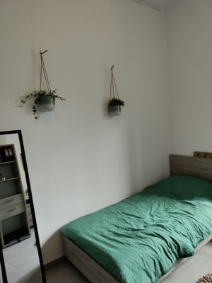 Kamer Studentenkamer met privé badkamer in studentenwoning voor 6 personen, 2024-2025 juli tot januari ( eerste semester) foto 5