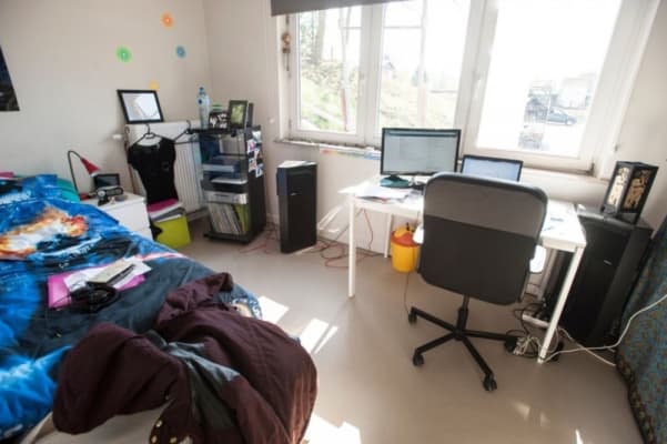 Oda Te huur studentenkamers gelegen in Genk resim 5